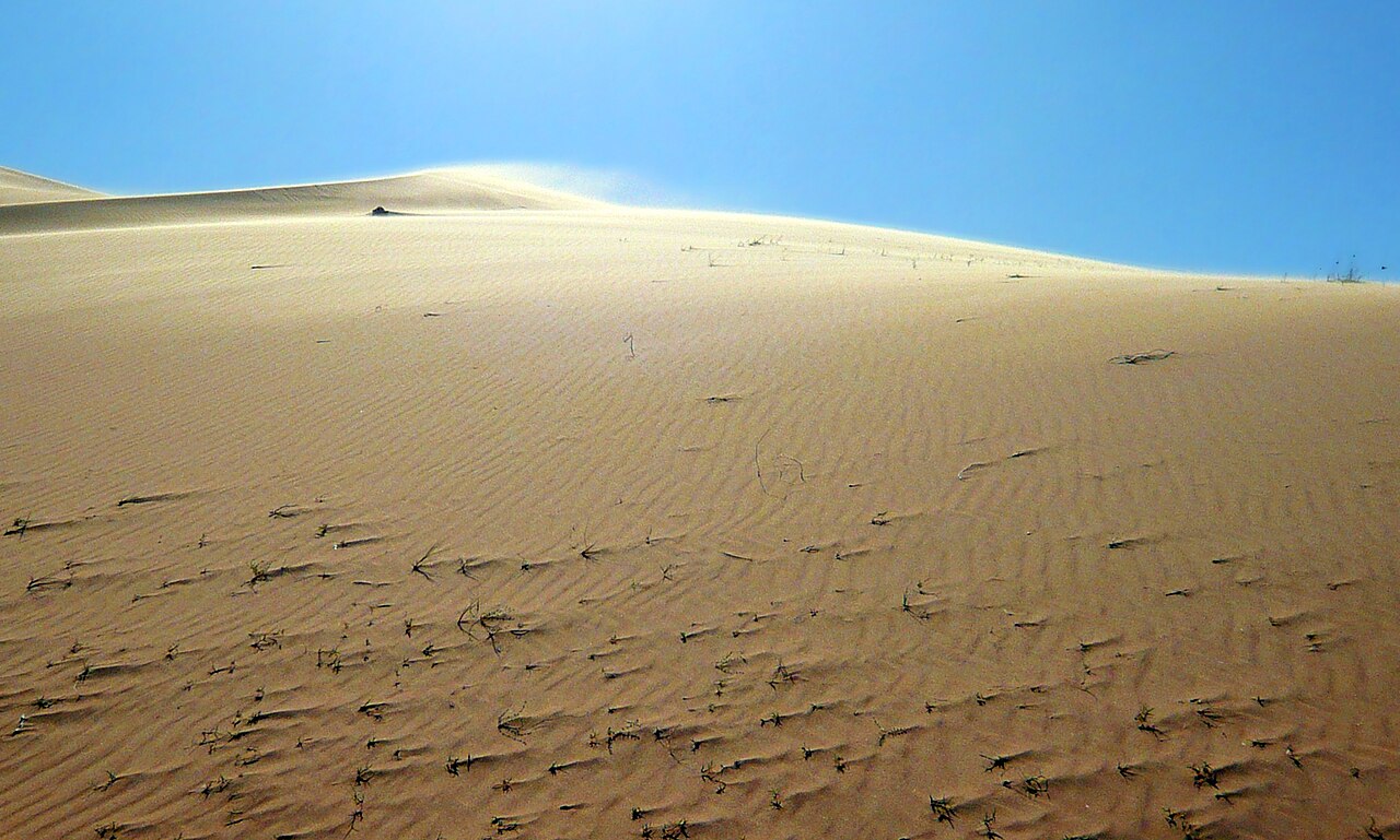 Algeria travel photography, image 6 of 6