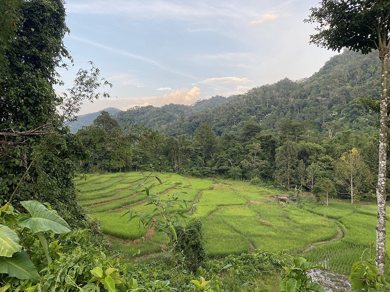 Malaysia travel photography, image 6 of 6